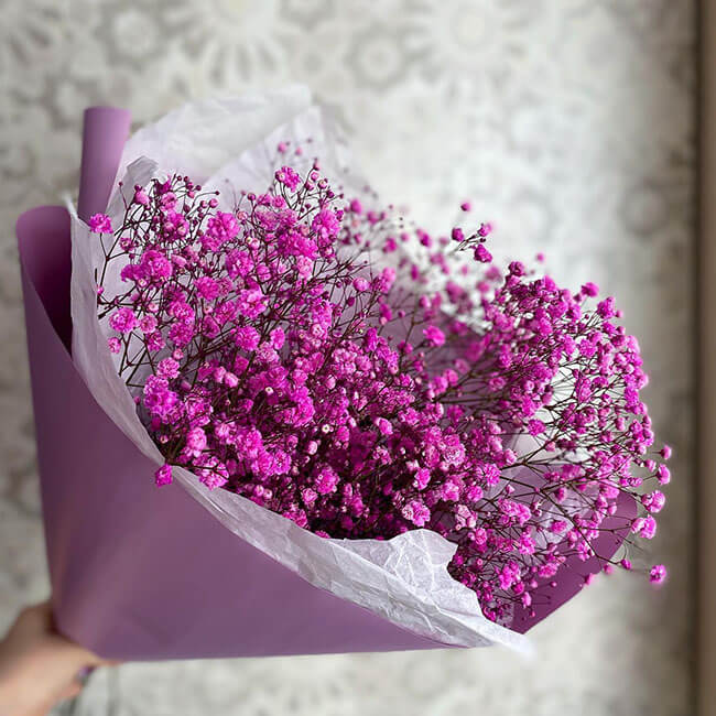 5 фиолетовых гипсофил 5 фиолетовых гипсофил